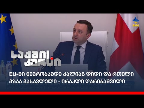 EU-ში წევრობამდე ძალიან დიდი და რთული გზაა გასავლელი - ირაკლი ღარიბაშვილი