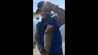 Fishing again @ Quarry Lakes 5-09-2020 ( Fremont CA )