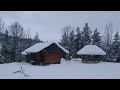 For 14 days he spent the night in a forest house in a heavy blizzard with cattle bushcraft shelter