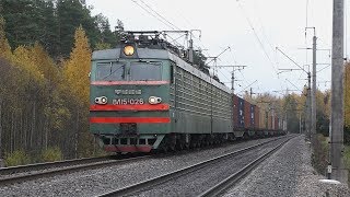 Racing freight train with auto rail, a variety of freight locomotives...