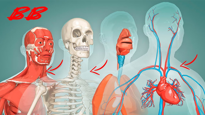 Цензурасыз порно музыкалық бейне онлайн