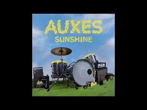 Auxes — 9. A Man And A Sheep And A Cat