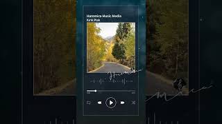 Haremica Music Media - Kırık Plak - シ