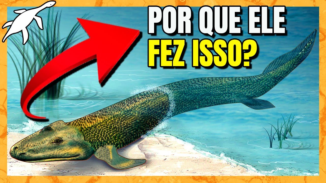 A BIOLOGIA E EVOLUÇÃO INSANA do TIKTAALIK - YouTube