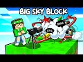 HO REGISTRATO LO SCONTRO FINALE su MINECRAFT! - BIG SKYBLOCK