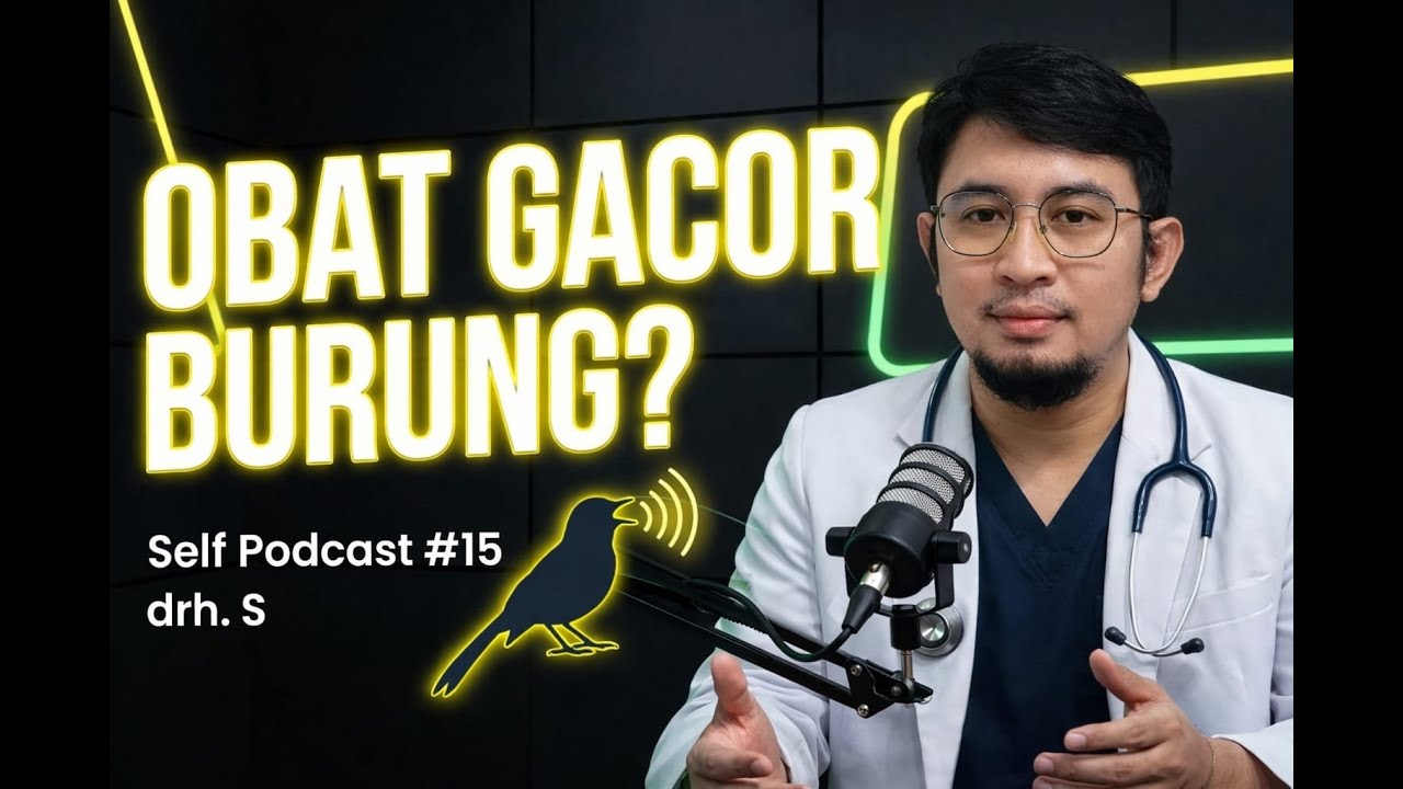Self podcast #15 drh S | Obat Gacor Burung #burunggacor #gacor #kicaumania