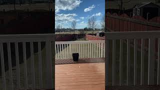 Edmonton Snowless yes!!!!! #canada #sunshine #saywhat