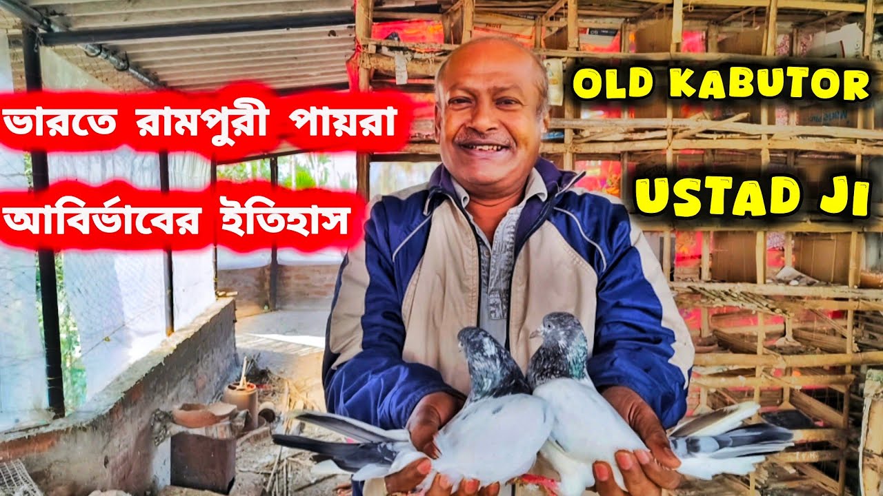 পুরাতন কবুতর উস্তাদ দেবাশীষ কাকু।ভারতের রাজা দের থেকে কী রামপুরী পায়রার উৎপত্তি।@pigeonsloverrj9600