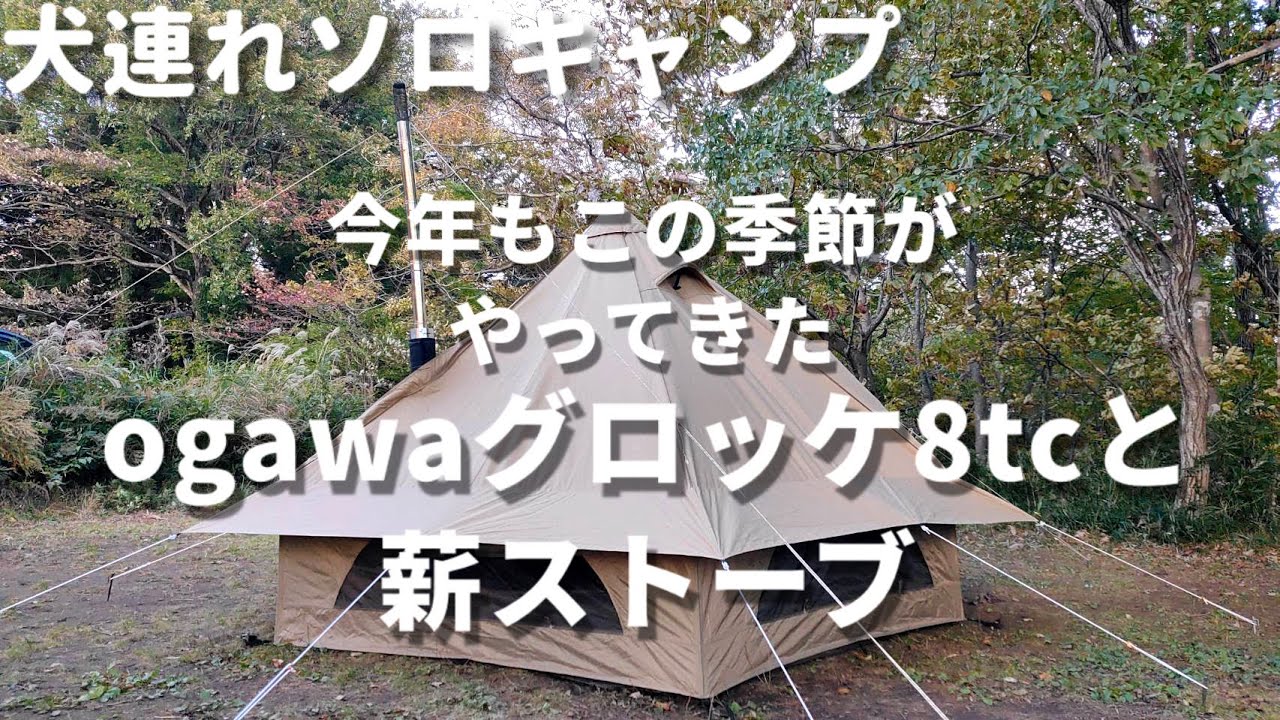 犬連れソロキャンプ】今年も薪ストーブの季節がやってきた✨ogawa