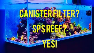 Canister Filter Reef Tank? Yes!  Tips and secrets to successful canister filter reefing