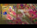 The Flaming Lips - Enthusiasm For Live Defeats Existential Fear, Pt. 2 (Official Audio)