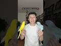 Heute ein Video mit meinen beiden Süßen zusammen 🦜 #talkingparrot #halsbandsittich #ringneck