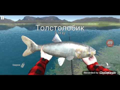 я играю в ультимейт фишинг симулятор 2часть - YouTube