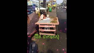 គុណនៃសេចក្តីលំបាក ជីវិតជាការតស៊ូ