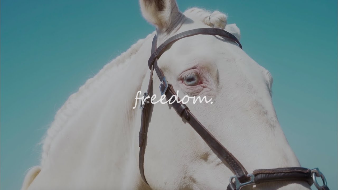 The Freedom Collection - Summer 20 Official Campaign Video - YouTube