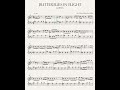 BabyTV Butterflies In Flight Sheet Music