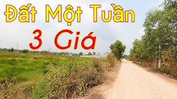 Đất Củ Chi Một Tuần 3 Giá | Điểm Đầu Cao Tốc | Vành Đai 3