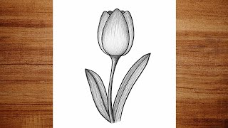 Flower drawing Easy | How to Draw a Tulip Flower step by step | Pencil Sketch drawing|Art video
