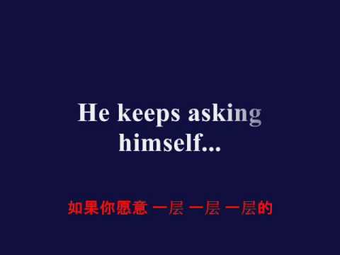 杨综伟 洋葱