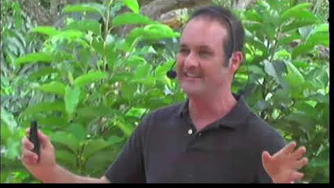 Climbing Blind: Overcoming Challenges Reach Great ...