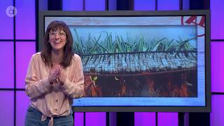 Maria Juan Valencià I Català Són Llengües Diferents? - Umptes Interns