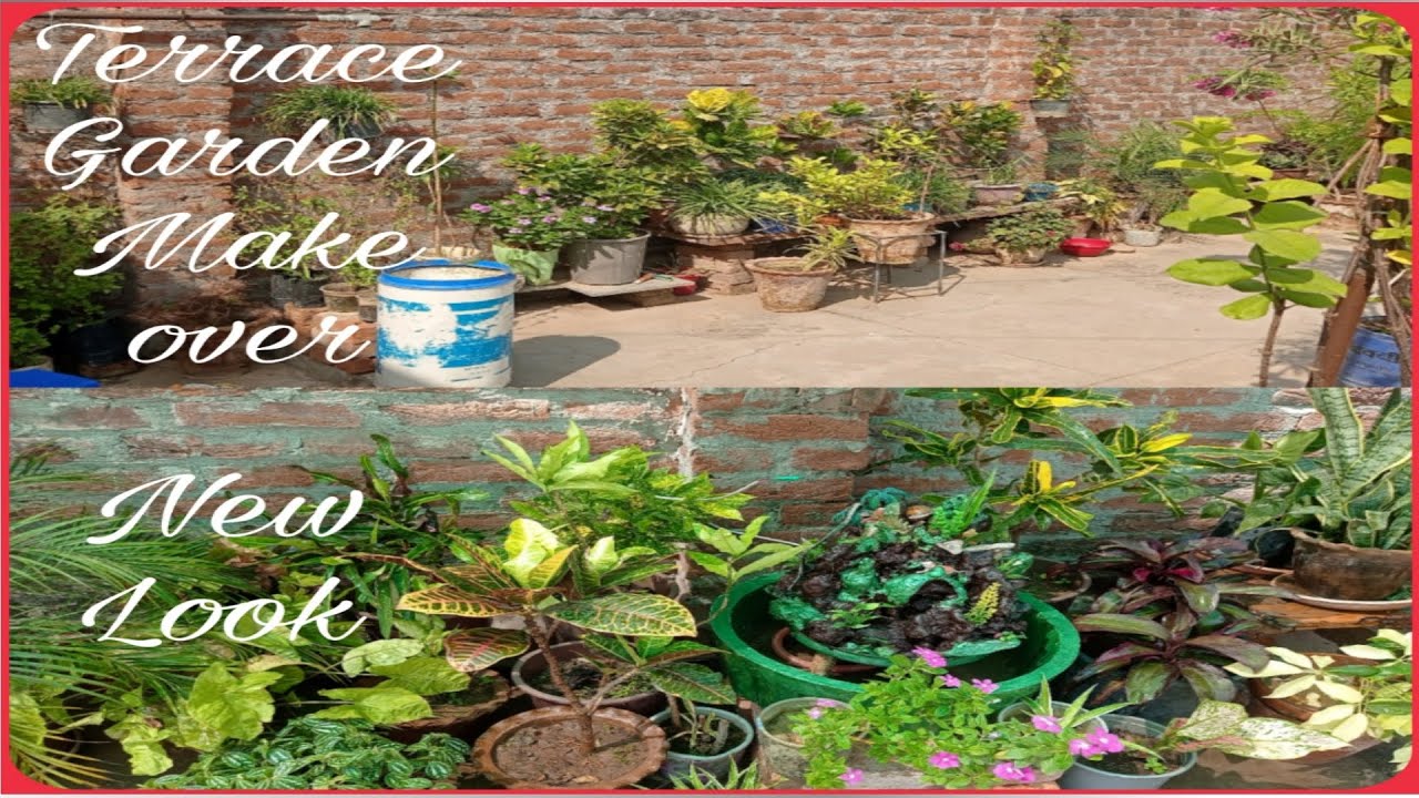 Terrace Garden Make Over || Tips For Plants || Summer Heat || - YouTube