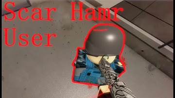 POV: You encounter the wild scar hamr user in phantom forces