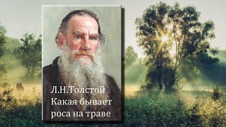 Л.Н.Толстой. Какая бывает роса на траве