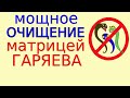 Мощное очищение организма Антипаразитной матрицей Гаряева Обновленная Медитация 4в1 по Программе №10