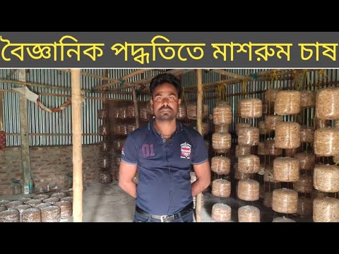 ভিডিও: মোরল মাশরুম পপ আপ হতে কত সময় লাগে?