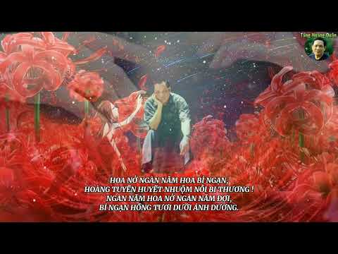 Video HOA BỈ NGẠN - DẤU ĐẠN THÙ TRÊN TƯỜNG VÔI TRẮNG - youtube