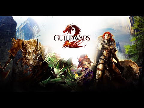 Видео: GuildWars2 как залогенится с акка Arenanet со Steam