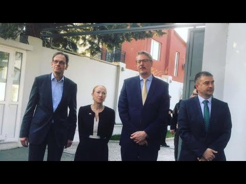 საკონსტიტუციო ცვლილებების დამტკიცება და ელჩების მილოცვა საქართველოს