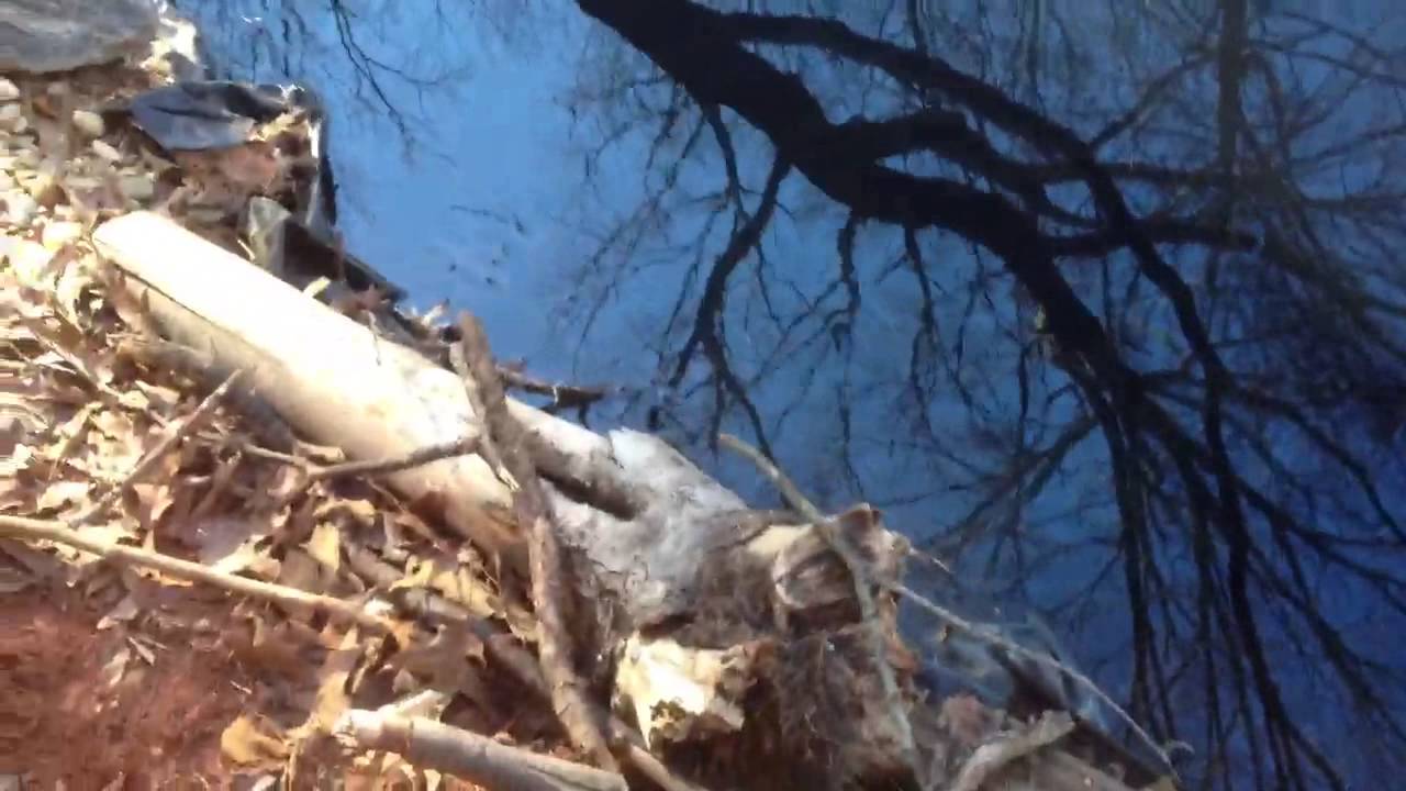 camera iphone 8 plus apk My Pond