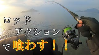 厳寒期のデイゲーム ロッドアクションで冬シーバスを狂わせる Seabass Youtube 厳寒期のデイゲーム ロッドアクションで冬シーバスを狂わせる Seabass Youtube