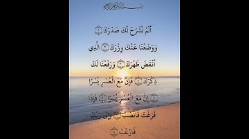 سورة الشرح بصوت جميل😍