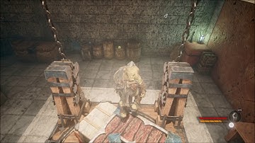 Styx Shards of Darkness Learn the  Secret Room Entrance Switch Location