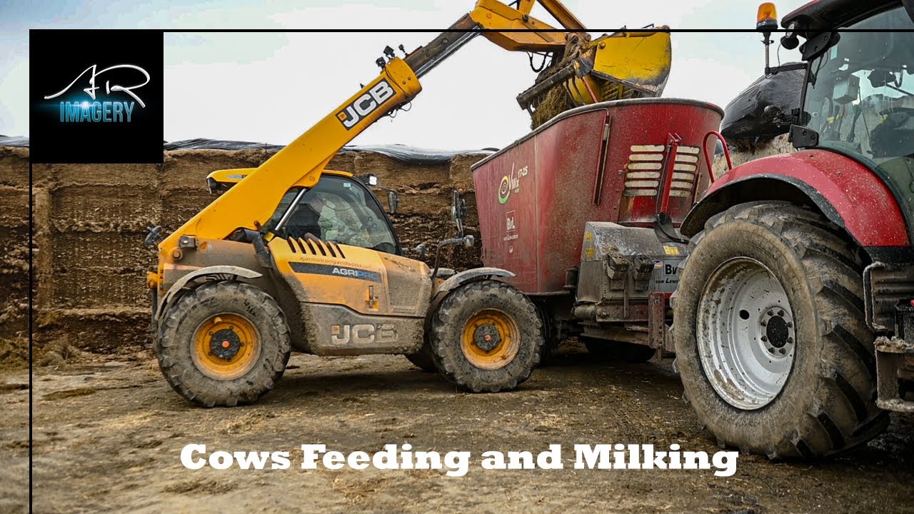 Bedding Milking Feeding all go at R Killen & Sons