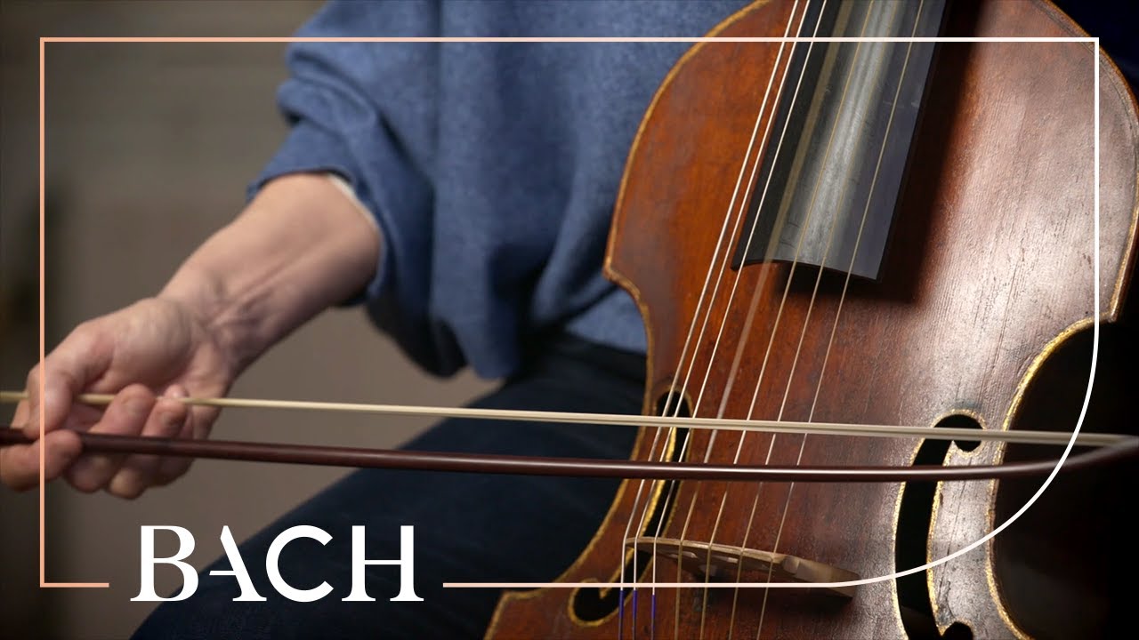 The viola da gamba Netherlands Bach Society YouTube