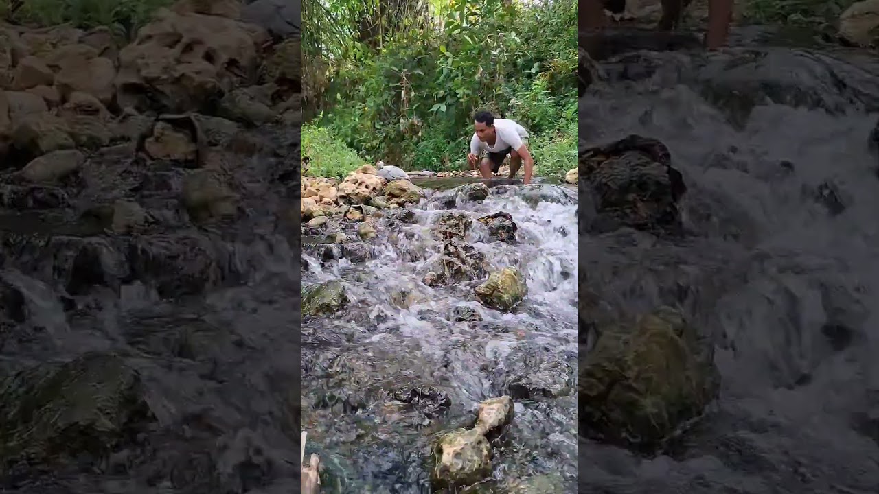 to catch decorative chickens in the river, Good job. 