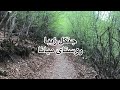 قدم زنان در جنگل روستای میانا