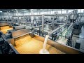 Inside the Factory How Oats Are Turned into Healthy Oat Milk Full Process Factory