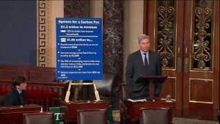 Time To Wake Up: Carbon Fee Options