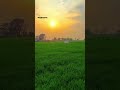 Hamar Manak Gaam Me Fit Song Udit Narayan By Mithilanchal 