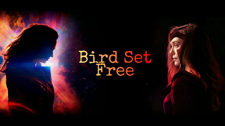 Wanda & Jean || Scarlet Witch & Phoenix || Bird Se...