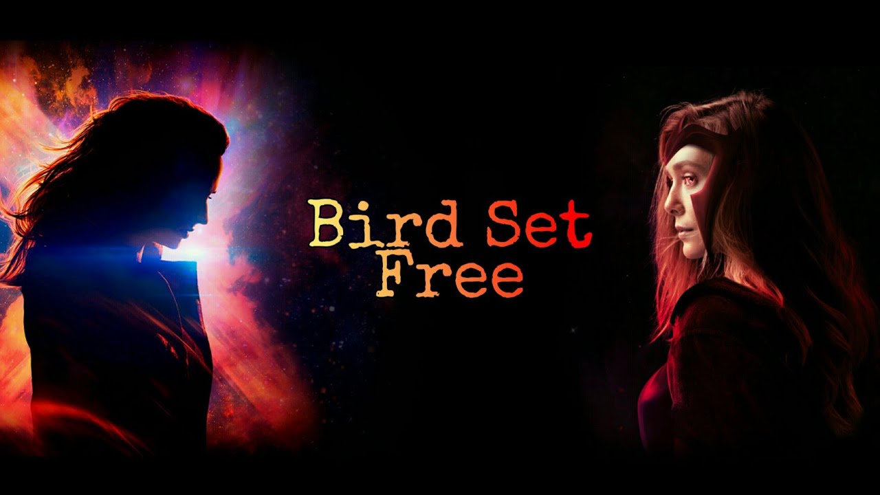 Wanda & Jean || Scarlet Witch & Phoenix || Bird Set Free