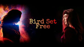 Wanda & Jean || Scarlet Witch & Phoenix || Bird Set Free
