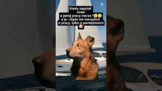 #humor #śmieszne #zabawne #funny #funnyshorts #funnyvideo #fyp #vibes #mems #memy2025
