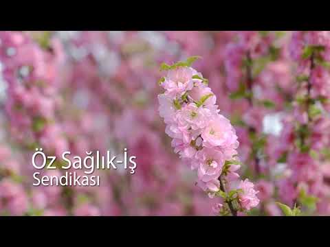Öz Sağlık-İş Sendika marşı- Öz Sağlık-İş evimiz