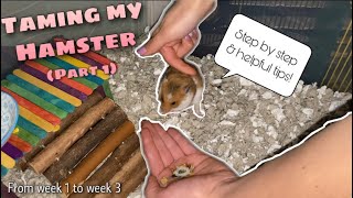 How to Tame Your Hamster 🐹 | Taming my New Hamster Part 1 (Step by Step Progression + Tips!)